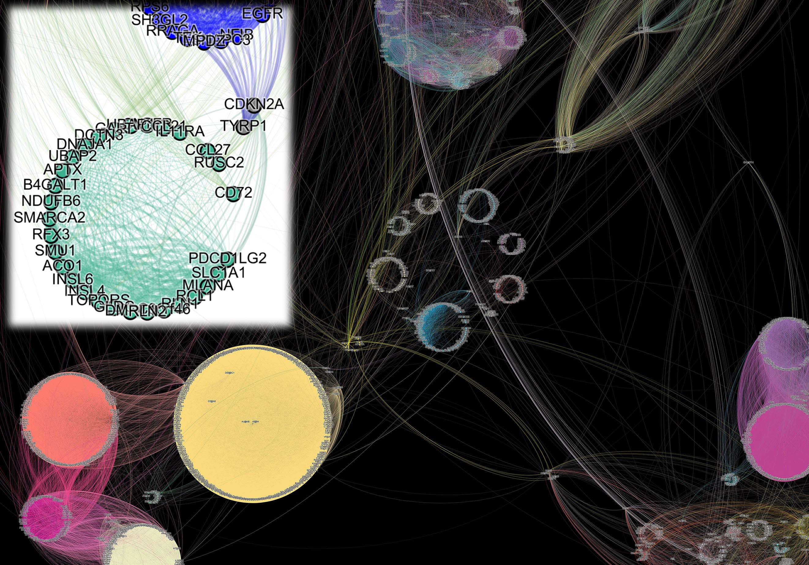an example visualization of the hierarchical multi-level communities in the multi-omics network of GBM sequencing data